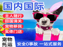 吴川航空快运国际宠物托运 【国